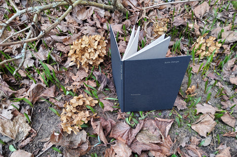 Arta Ostupa jaunais dzejas krājums “Patiesība”